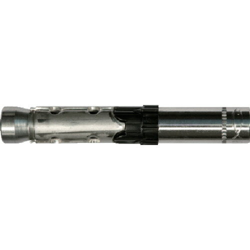 乐天商城 - フィッシャー　ボルトアンカー　FH2　15／M10　I　A4　（25本入）　　519018　779-5122