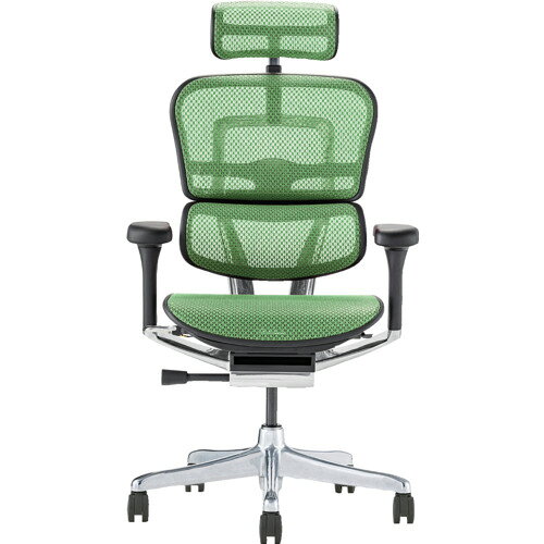Ergohuman PRO2 EHP2-HAM-BF-GN [�O���[��]