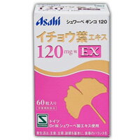 シュワーベギンコ　イチョウ葉エキス　120mg　EX　60粒　4946842820160