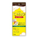 シエロ ムースカラー 6 ダークブラウン 【医薬部外品】 4987205286179