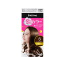ブローネ 泡カラー 6 ダークブラウン 1セット 【医薬部外品】 4901301286949