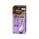 ブローネ ヘアマニキュア アッシュブラウン クシつき 4901301203106