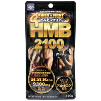 【メール便送料無料】ビルドファイト　HMB2100 120粒　4573261220334