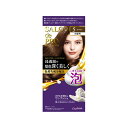 サロンドプロ 泡のヘアカラー エクストラリッチ 白髪用 5 ブラウン 【医薬部外品】 4904651124343