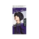 ビューティーン メイクアップカラー ネイビーブルー 1セット 【医薬部外品】 4987205312946