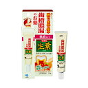 【第3類医薬品】【メール便送料無料】生葉口内塗薬 20g 4987072074244