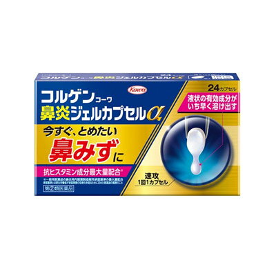 (2)ʡۡоݡۥ륲󥳡ɡꥸ륫ץ24ץ 4987067297801
