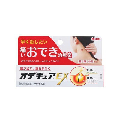 【第2類医薬品】オデキュアEX 12g 4987426002954