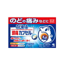 【第(2)類医薬品】(税制対象)のどぬ～る 鎮痛カプセルa 18カプセル 4987072054673