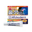 【第(2)類医薬品】【メール便送料無料】(税制対象)メディクイックN軟膏 6g 4987241189113