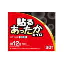 アイリス・ファインプロダクツ 貼るあったかカイロ レギュラー 30個 4582228252523