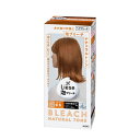 花王 リーゼ 泡ブリーチ ナチュラルトーン 108ml 4901301433381