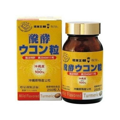 醗酵ウコン粒 250粒　4996665002854