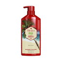 オールドスパイス 2in1 シャンプー&コンディショナー フジ 21.9oz/650ml 0012044045985