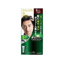 サロンドプロ EX メンズヘアマニキュア 6 ダークブラウン(1セット) 4904651182930