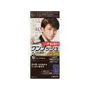 ダリヤ サロンドプロ ワンプッシュメンズヘアカラー 6 ダークブラウン 4904651182824
