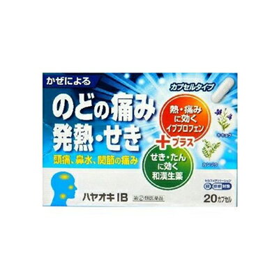 【第(2)類医薬品】【メール便送料無料】【税制対象】薬王製薬 ハヤオキIB 20カプセル 4987533063053