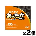 アイリス・ファインプロダクツ　 貼れないあったかカイロ レギュラー 30個入り×2個　4582228252554*2