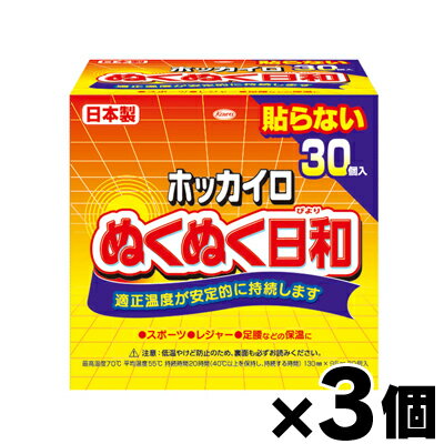 在庫限り　ホッカイロぬくぬく日和貼らないレギュラー　30個×3個　4987067829309*3