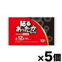 アイリス・ファインプロダクツ 貼るあったかカイロ レギュラー 10個入り×5個　4582228252516*5