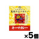 MCC食品 小野員裕の鳥肌の立つカレー 「キーマカレー」 200g×5個 4901012042391*5