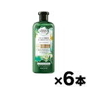 【送料無料!】ハーバルエッセンス ビオリニュー キューカンバー&グリーンティ コンディショナー 400ml×6本 0190679000156*6