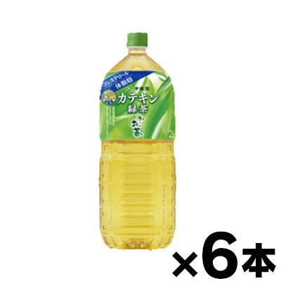 伊藤園 お～いお茶 カテキン緑茶 2L 6本 他商品同時注文同梱不可 4901085642184*6