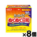 【送料無料！】 ホッカイロぬくぬく日和貼らないレギュラー　30個×8個　4987067829309*8