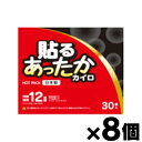 【送料無料！】 アイリス・ファインプロダクツ 貼るあったかカイロ レギュラー 30個入り×8個　4582228252523*8