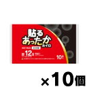 [商品区分：日用品][メーカー： アイリス・ファインプロダクツ] 商品特徴: 使い捨てカイロ 商品特徴: 持続時間12時間、安心の日本製。いつでもどこでも使えます。足腰の冷え、屋外作業、レジャーやスポーツ観戦に。 貼るタイプ。 使用方法: ・外袋から内袋を取り出し、はく離紙をはがして、もまずに衣類の上に貼って使用してください。 ・発熱が終了したらすぐにはがしてください。時間が経つとはがしにくくなります。 使用上の注意: 危険：低温やけどに注意 低温やけどは、体温より高い温度の発熱体を長時間あてていると紅斑、水疱等の症状を起こすやけどのことです。なお、自覚症状をともわないで低温やけどになる場合もありますので注意ください。 衣類の上に貼るカイロです。用途以外には使用しないでください。 注意: ・肌に直接あてないでください。 ・肌の弱い方は、必ず1時間に1回程度肌の状態を確認してください。 ・就寝するときには使用しないでください。 ・帯やベルトで押し付けて使用しないでください。 ・熱すぎると感じたときは、すぐに使用を中止してください。 ・こたつ等、他の暖房器具と併用しないでください。 ・下着等、特に薄い衣類の上から使用する場合はご注意ください。 ・糖尿病など温感および血行に障害をお持ちの方、肌の弱い方はご注意ください。 ・肌に赤み、かゆみ、痛みなどやけどの症状がおきたときはすぐに使用を中止し、医師にご相談ください。 ・毛足の長い衣類や高級な衣類などは、粘着剤で傷めることがありますので、貼らないでください。 ・本品は食べられません。誤って飲み込んだ場合は、速やかに吐き出して医師の診断を受けてください。 有効期限: 別途パッケージに記載 材質: 鉄粉、水、バーミキュライト、活性炭、塩類、高吸水性樹脂 保存方法: ・直射日光をさけ、涼しい所に保存してください。 ・幼児の手の届くところに置かないでください。 廃棄方法: ・使用後は市区町村の区分に従って捨ててください。 内容量: 1個あたり10個入り 発売元、製造元、輸入元又は販売元： アイリス・ファインプロダクツ 989-1224 宮城県柴田郡大河原町金ヶ瀬川根 0120-919-135 広告文責: 株式会社 フクエイ　03-5311-6550 ※パッケージが変更になることがございます。予めご了承ください。 区分　日本製・日用品