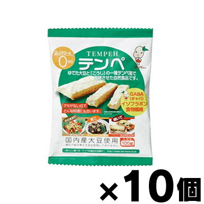 テンペレトルト　100g×10個　497