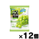 分類1: 食料品 分類2: お菓子類広告文責: 株式会社 フクエイ TEL03-5311-6550※パッケージが変更になることがございます。予めご了承ください。