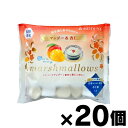 夏季限定品!明治屋 夏を楽しむマシュマロ マンゴー&杏仁 70g×20個 4902701925629*20