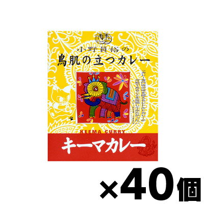 【送料無料！】 MCC食品 小野員裕の鳥肌の立つカレー 「キーマカレー」 200g×40個 4901012042391 40