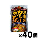 【送料無料！】 オリエンタル 名古屋カレーうどんの素 120g×40個　4901276110102*40