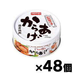 【送料無料！】ホテイ　からあげ和風醤油味　45g×48個　4902511011871*48