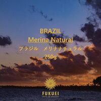 ブラジルメリナナチュラル250g浅煎り/スペシャルティコーヒー豆ドリップストレート甘いブラック自家焙煎珈琲専門富久栄ふくえいfukueicoffee