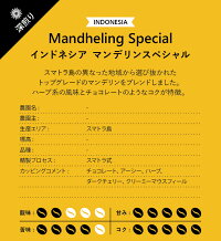 インドネシアマンデリンスペシャル500g深煎り/スペシャルティコーヒー豆ドリップストレート濃厚コク甘い苦いブラック自家焙煎珈琲専門富久栄ふくえいfukueicoffee