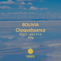 ボリビアチョケアンカ【丁寧な有機栽培】◆250g◆中煎り