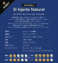 グァテマラインフヘルトナチュラル100g中深煎り/スペシャルティコーヒー豆ドリップストレートコクバランス定番ブラックカトゥーラカトゥアイ自家焙煎珈琲専門富久栄ふくえいfukueicoffee