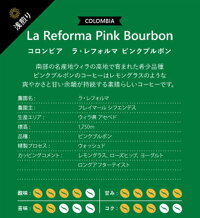 コロンビアエル・グアモ500g中煎り/スペシャルティコーヒー豆ドリップストレートすっきり酸味甘いブラックカステージョカトゥーラ自家焙煎珈琲専門富久栄ふくえいfukueicoffee