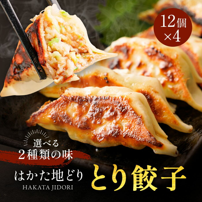 送料無料 冷凍食品 通販 お取り寄せ お取り寄せグルメ とり餃子 48個(12個×4セット) 選べる2種の味 スタミナ 地どり 地鶏 じどり はかた地どり 国産地鶏 中華 仕送り 簡単調理 冷凍餃子 業務用 ぎょうざ ギョウザ