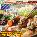 【 早割 で10,000円が4,980円！期間限定P10倍！】 水炊きセット 5-6人前 送料無料 水炊き セット 博多 水炊きスープ スープ 鍋 お取り寄せ はかた地どり 福岡 地どり 地鶏 鶏肉 もも肉 ポン酢 グルメ ご当地グルメ 鍋セット 人気 おすすめ ランキング 水炊き の 材料 お歳暮