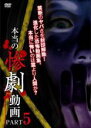 【中古】DVD▼本当の惨劇動画 5 レンタル落ち ケース無