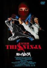 【中古】DVD▼燃えよNINJA HDニューマスター版 レンタル落ち ケース無