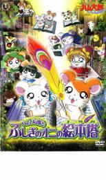 【中古】DVD▼劇場版 とっとこハム太郎 はむはむぱらだいちゅ!ハム太郎とふしぎのオニの絵本塔▽レンタル落ち