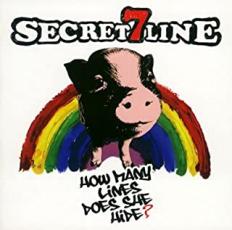 【中古】CD▼How many lines does she hide? レンタル落ち ケース無