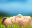 【中古】CD▼Wonderful World レンタル落ち ケース無