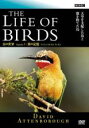 【中古】DVD▼BBC 鳥の世界 1 翼の記憶 レンタル落ち ケース無