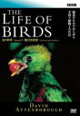 【中古】DVD▼BBC 鳥の世界 3 飽くなき食欲 レンタル落ち ケース無
